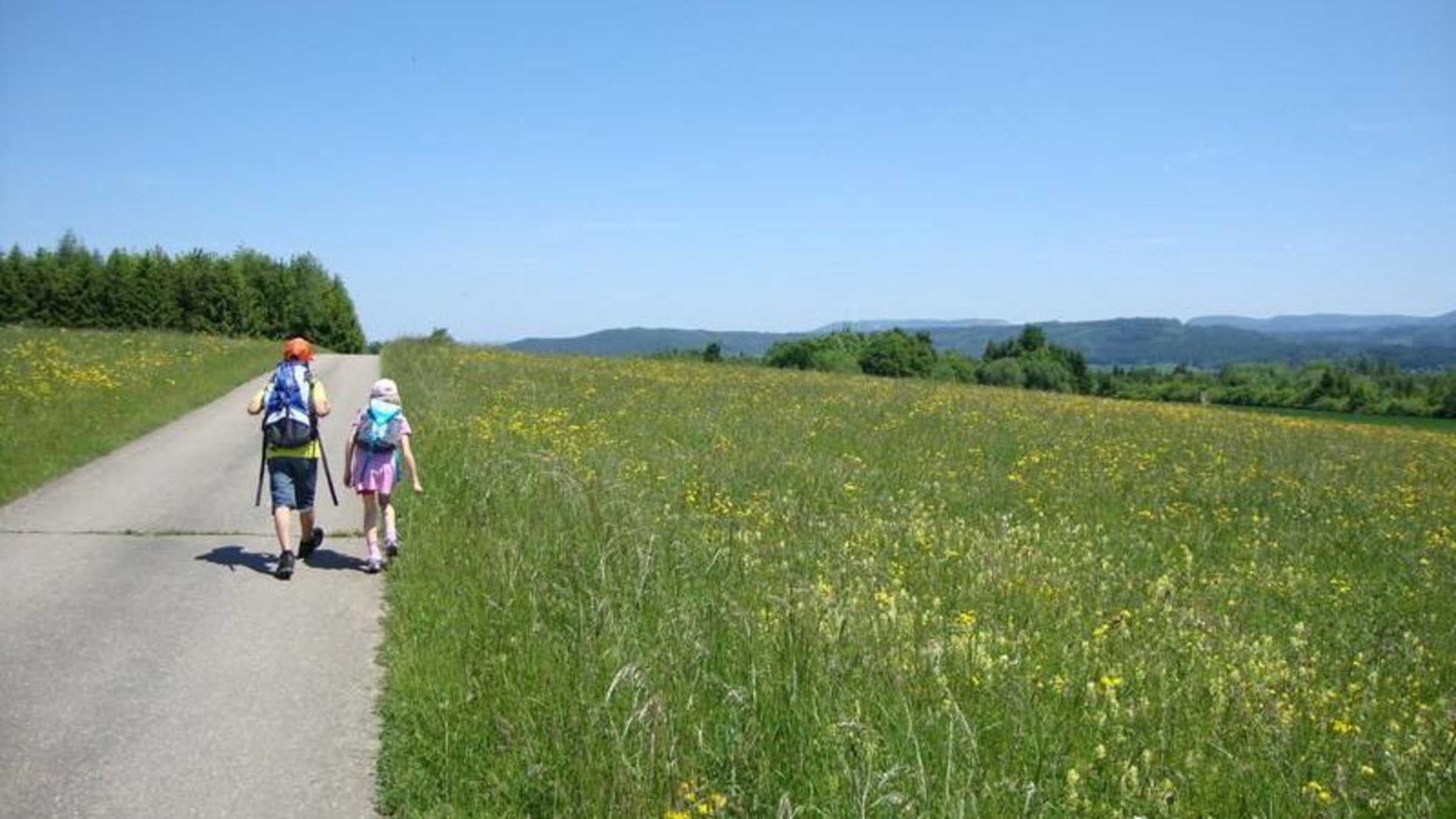 Wanderer laufen an einer Wiese entlang 